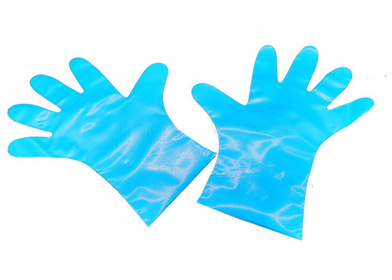 AS4736 Certified Compostable Food Gloves 50 Micron CPE Disposable Gloves